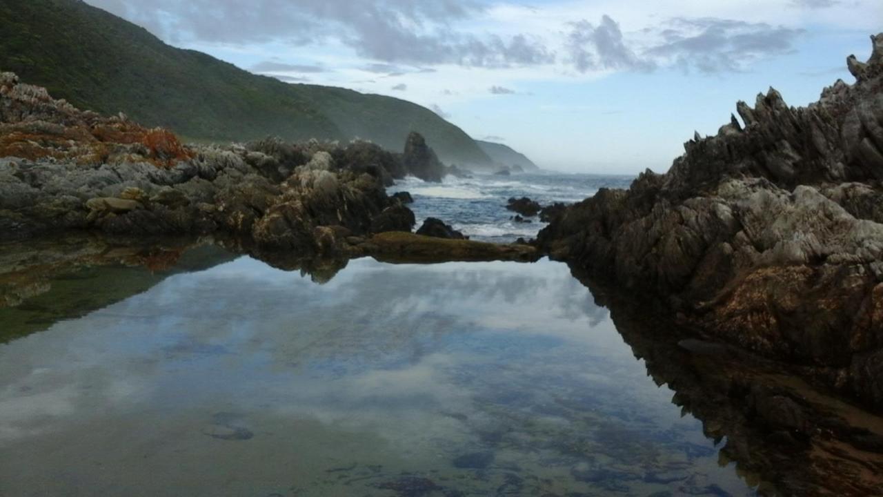 Chalé Anglers Paradise *